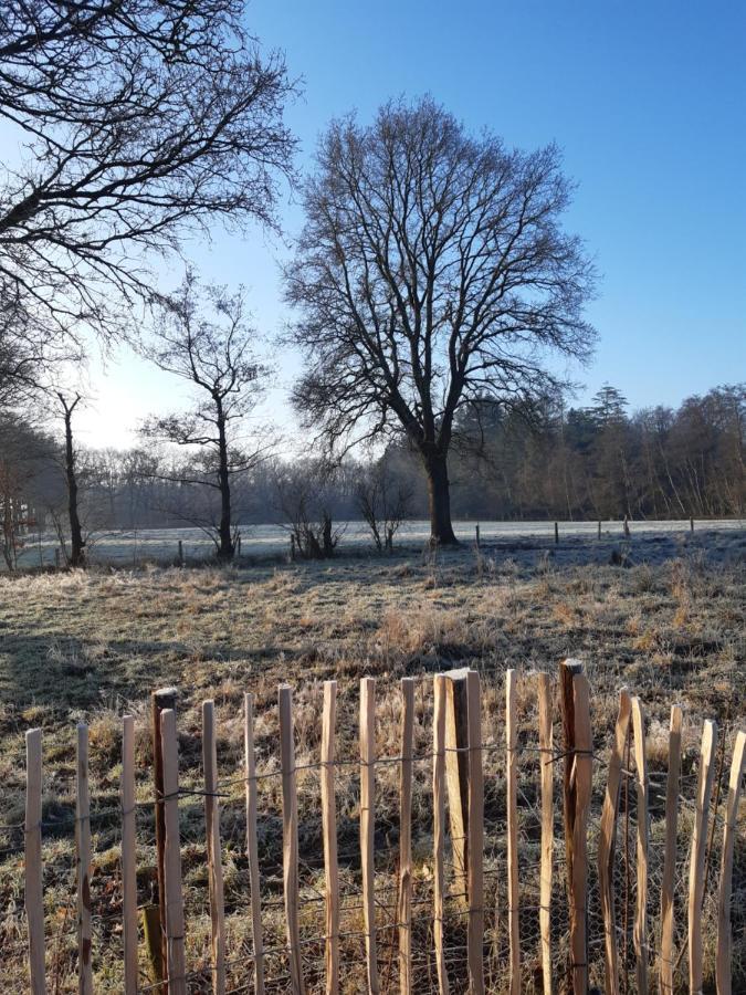 B & B Twijfelveld Assen Kültér fotó