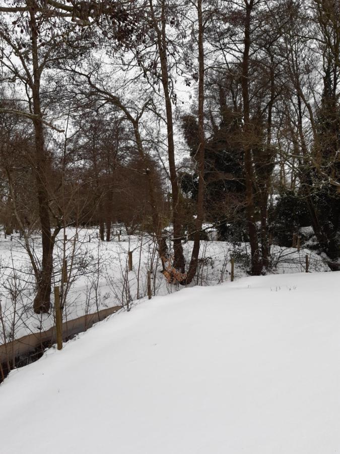 B & B Twijfelveld Assen Kültér fotó