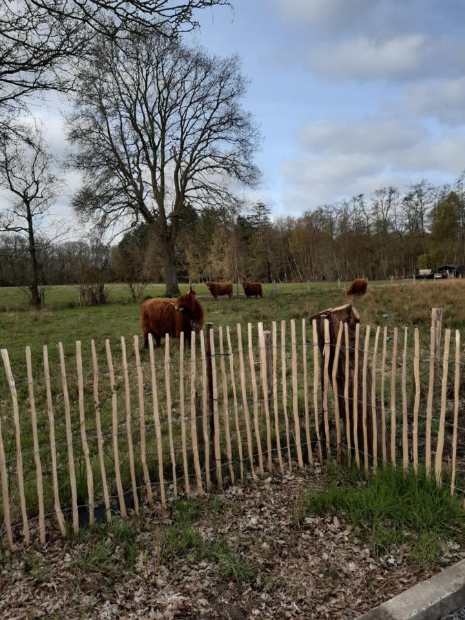 B & B Twijfelveld Assen Kültér fotó