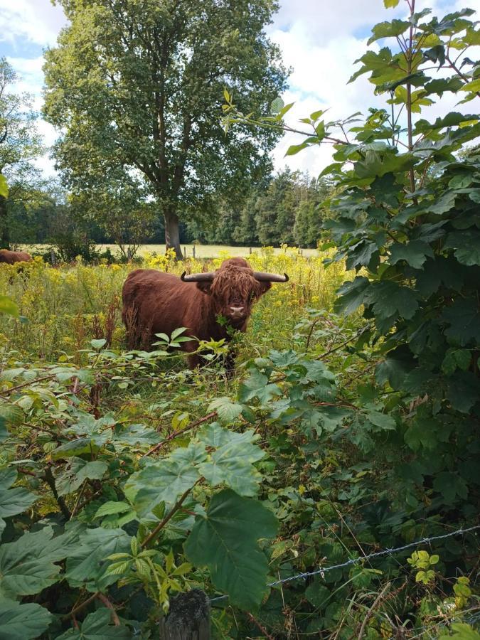 B & B Twijfelveld Assen Kültér fotó